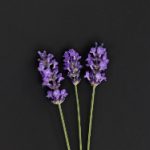 喜乐平台的未来发展:如何持续创造快乐价值 4aodtt