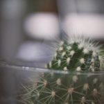 喜乐娱乐带你领略不一样的休闲娱乐体验 5il4yyv