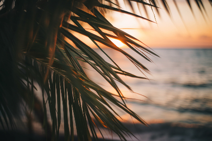 四季体育网站推荐：适合不同季节的运动项目与技巧