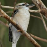 周末放松指南:适合全家人的休闲娱乐选择 su68w4qqm