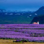 君豪品牌的崛起:从小众到大众的成功之路 yxjkxxbq