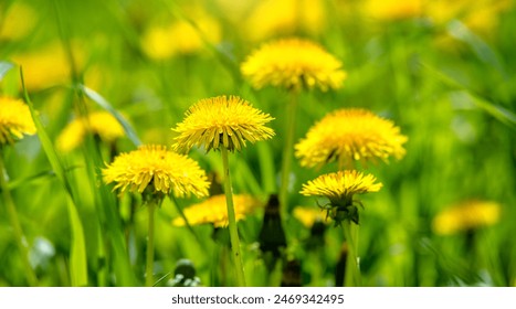 17178期足球开奖结果查询与最新中奖号码公布 17178期足球开奖结果查询与最新中奖号码公布