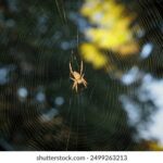 17153期开奖结果最新公布,快来看看你中奖了吗? dt2g8nvjz