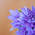 17199期体育彩票开奖结果查询与最新号码公布 fl7eh5