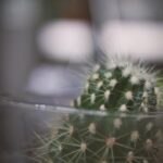 17172期足彩开奖结果揭晓:大奖花落谁家引关注 ju3g72sigh