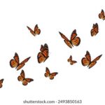 17169期开奖结果最新公布,速来查看中奖详情 k4l1d