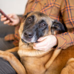 17161期足彩开奖结果揭晓:大奖花落谁家引关注 mwrzk9t8