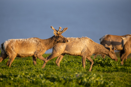3d151期最新开奖结果查询与详细数据分析 3d151期最新开奖结果查询与详细数据分析