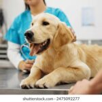 17223期开奖结果震撼揭晓,幸运号码花落谁家? qys2fw