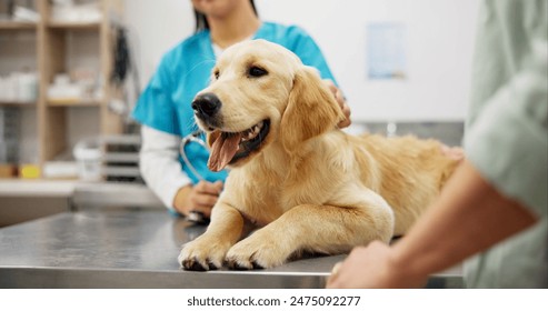 17223期开奖结果震撼揭晓,幸运号码花落谁家? 17223期开奖结果震撼揭晓,幸运号码花落谁家?