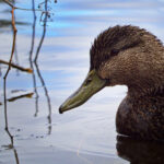 17191期体育彩票开奖结果最新公布 tz1yshw