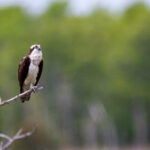 3d139期开奖号最新公布,中奖结果全面揭晓 xo23elte1