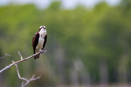 3d139期开奖号最新公布,中奖结果全面揭晓 3d139期开奖号最新公布,中奖结果全面揭晓